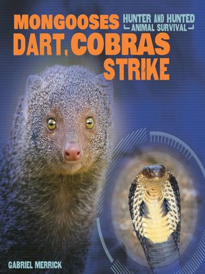 cover image of Mongooses Dart, Cobras Strike